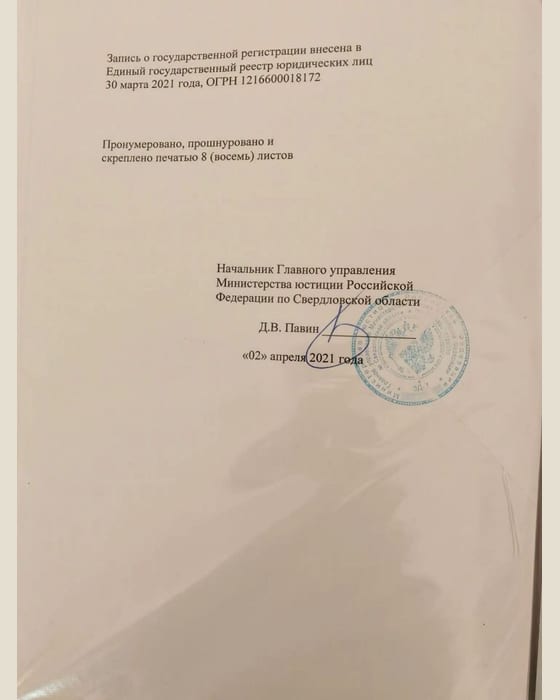 Запись в ЕГРЮЛ — фотография документа
